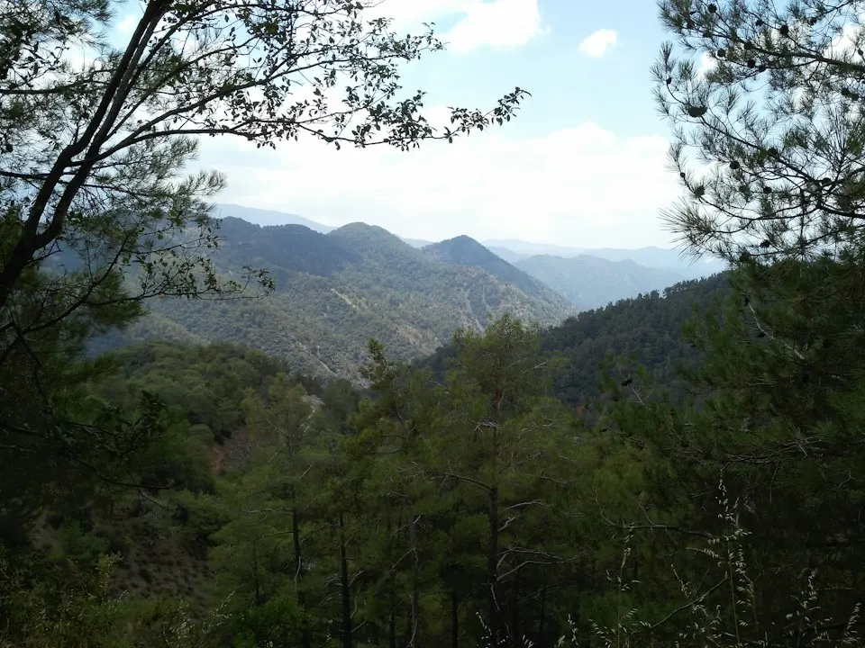 Pine-covered slopes of the Troodos mountains