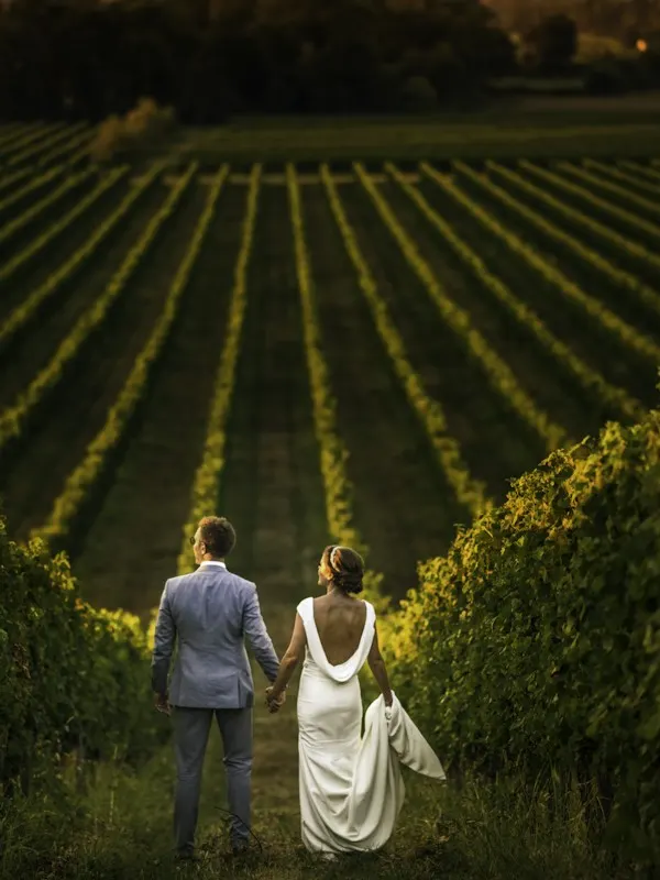Bride and groom walking hand in hand between vineyard rows in evening light